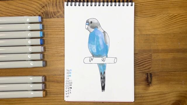 Как нарисовать волнистого попугая карандашом и скетч маркерами | Рисунок для детей, поэтапно и легко