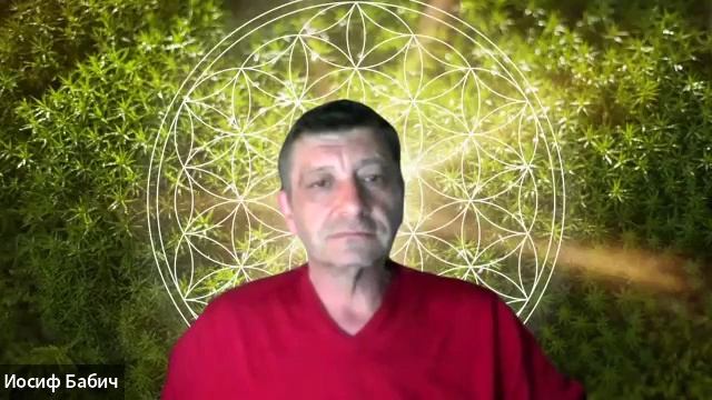 Удовольствие с винным соусом и без | ЖИВОЕ ОБЩЕНИЕ | ЭФИР 15 смотреть онлайн