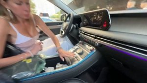 Дилерский Хендэ Палисад Calligraphy. Лиса рулит