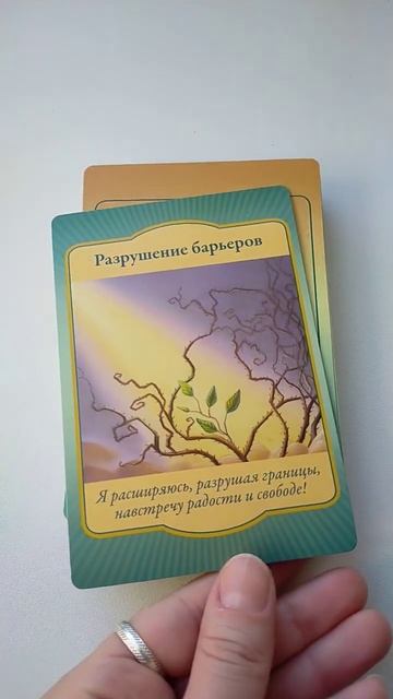 Совет Ангела Хранителя сфера здоровья...онлайн расклад....🙌🍀🙌🙌🍀🍀🍀 #2023 #гадание #эзотерика #род смотреть онлайн