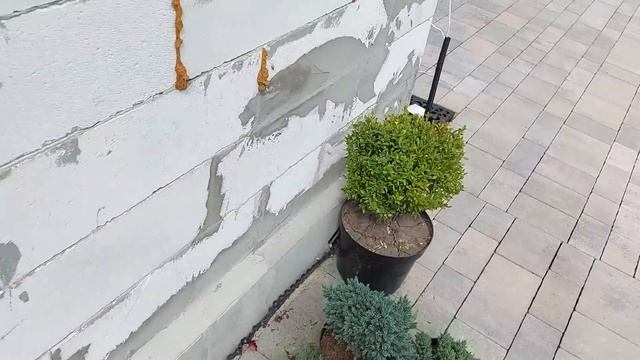 Пішли з Марком по гриби смотреть онлайн