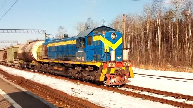 Тепловоз ТЭМ2М-021 с грузовым поездом, ст. Калище. смотреть онлайн