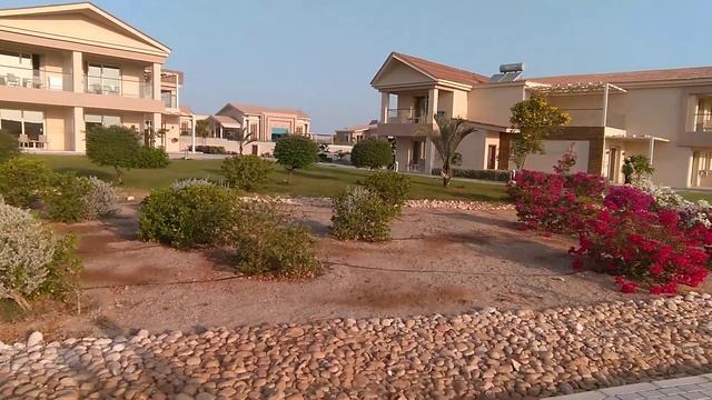 Альбатрос Марса Алам территория отеля смотреть онлайн