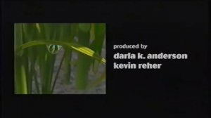 Timon And Pumbaa Rewind A Bug's Life 1997