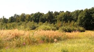 Раиса Неменова - Любовь - кольцо