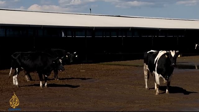 Counting the Cost - Can Germany's past pay for Greece's future? смотреть онлайн