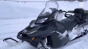 Новый рацион у кабанов на кормушках