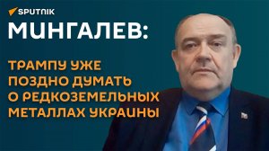 Мингалев: Трампу уже поздно думать о редкоземельных металлах Украины