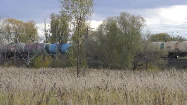 Цапля и ВЛ80С-326 + ВЛ80С-343 с грузовым составом смотреть онлайн