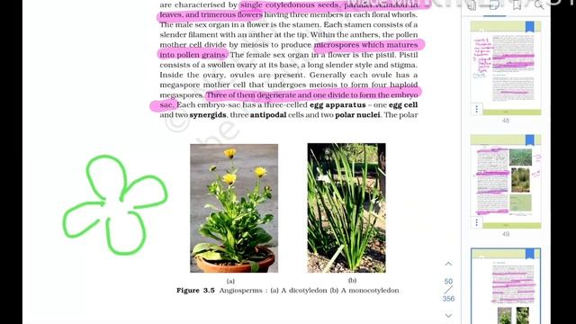 NCERT DIAGRAMS MADE EASY PART II, NEET BIOLOGY CRACKERS смотреть онлайн