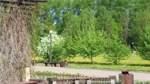 Сад им. 250-летия Перми у ж/д вокзала.