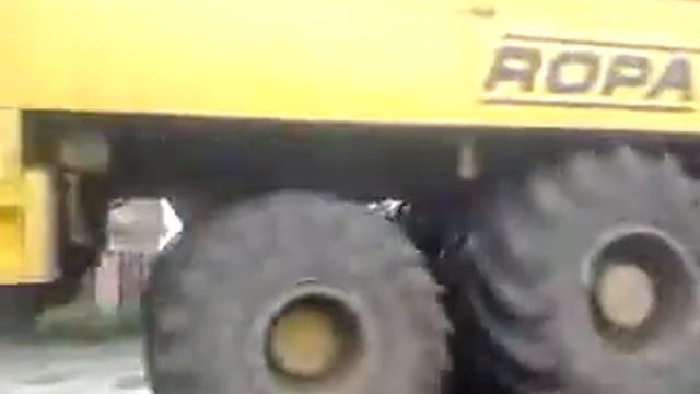 ROPA EURO TIGER смотреть онлайн