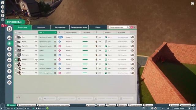 Planet Zoo 8 чайный стрим
