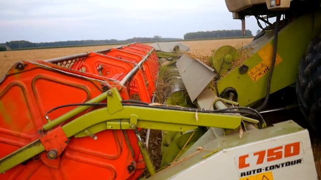 Żniwa 2017 I Claas Lexion 460 & Mega 370 I UR.Kaczyński I Podlasie смотреть онлайн