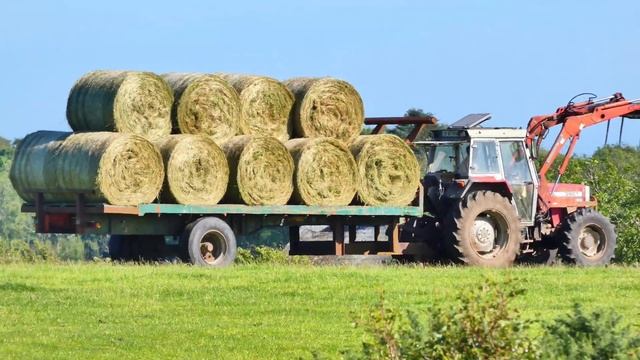 silage20! old school смотреть онлайн