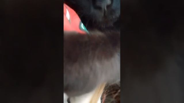 1000001384.mp4