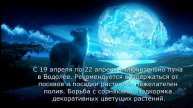 Лунный посевной календарь с 17.04.17 года по 23.04.17 года.