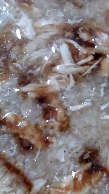 soup | chatkhara soup | karara shorts смотреть онлайн