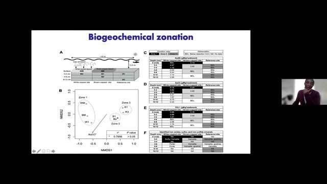 Arsenic, mercury and shallow submarine hydrothermal biogeochemical cycling. Ernest Chi Fru смотреть онлайн
