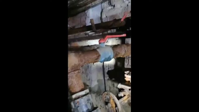 Напоминалка приём , Энтузиастов, Строительный 2б, Марата 1, Зверосовхоз, Герцена 1 смотреть онлайн