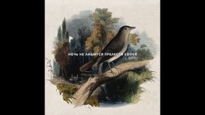 «Люблю, но реже говорю об этом» Сонет 102 (песня на стихотворение У. Шекспира в переводе С. Маршака