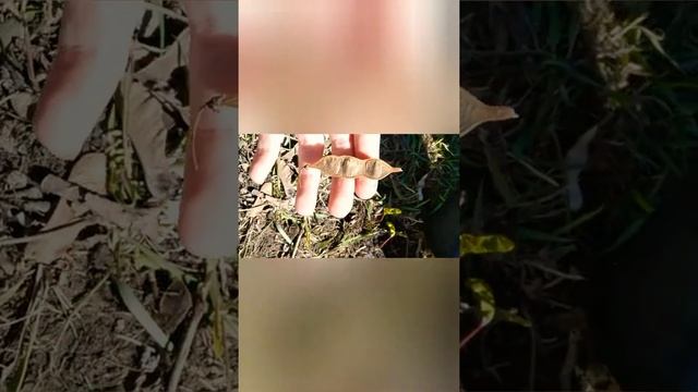 24 часа только белый 🧻 пью молоко #24часа смотреть онлайн