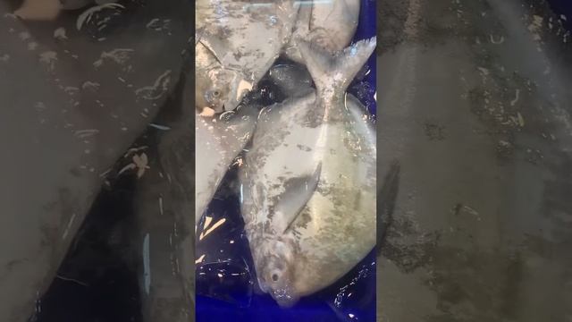 Рыбный рынок Наклуа - север Паттайи