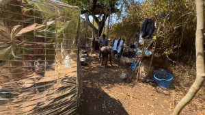 ✅ДОМ на ДЕРЕВЕ на НЕОБИТАЕМОМ ОСТРОВЕ ГОТОВ 🔥 ОГНЕННАЯ БАНЯ 🔥 Выживание в джунглях среди океана