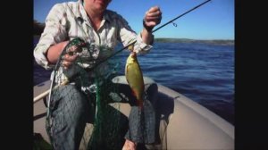 Красноперка на воблер/КРУПНЯК/Удачная Рыбалка