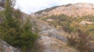 Крымский Зачет 2015