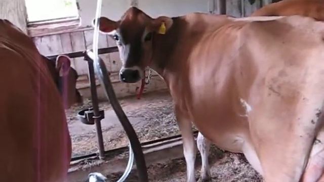 MVI 4605 смотреть онлайн