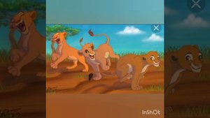 Король Лев История Кулы( Моя версия)