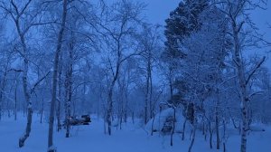 ЧАСТЬ-1.ИЗБУШКА УТОНУЛА ПОД СНЕГОМ ПОД САМУЮ КРЫШУ,ЕДУ НА РЫБАЛКУ С НОЧЁВКОЙ В МОЕЙ КРОШЕЧНОЙ ИЗБЕ