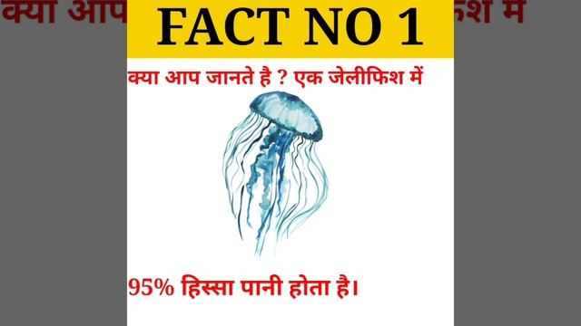 #amazingfacts