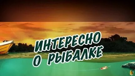 Щука на спиннинг.🎣🦈
