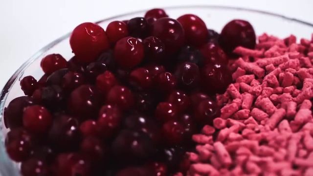 Кисели Артлайф – ощути настроение вкусов! смотреть онлайн