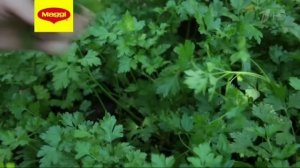 Реклама Магги 10 овощей