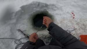 (26). Туруханск. Рыбалка На Енисее. 09.12.2021