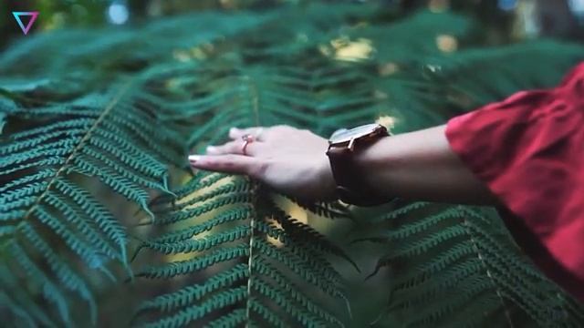 ▽ Правда или вымысел. Большой сборник теорий