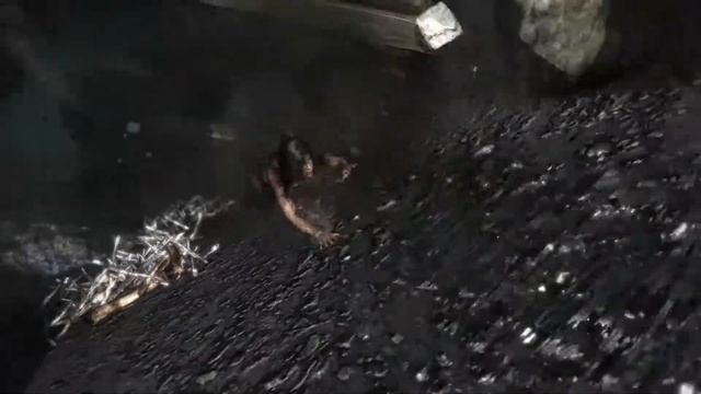 TOMB RAIDER ● Пролог / Признаки жизни #1 смотреть онлайн