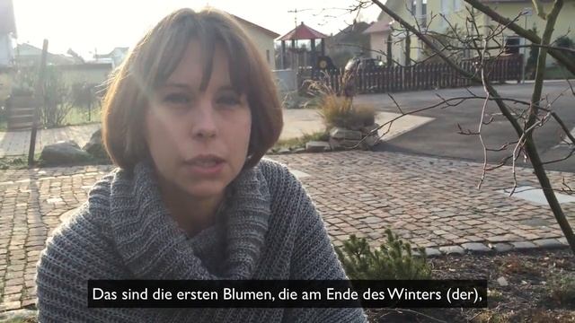 Deine deutsche Gastfamilie - Lied: Es war eine Mutter, die hatte vier Kinder смотреть онлайн