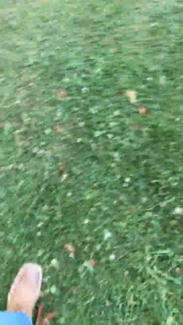 The stuff for the huge field flea market смотреть онлайн