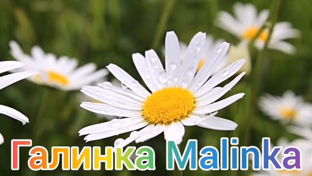 Лиса в Америке /Враньё Лисы /Опять Funny 4 /Обзор /Funny 4 /Big Big Family /США Vlog смотреть онлайн