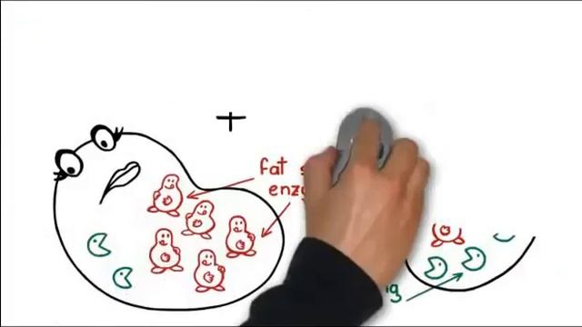 Quick Weight Loss for Women (fast weight loss) смотреть онлайн