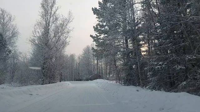 20250201_154439 смотреть онлайн