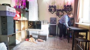 Обычная не спешная деревенская жизнь безработного мужичка и его кошек