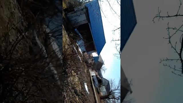 Влог с дачи . Делаю домик на дереве 🏡. смотреть онлайн