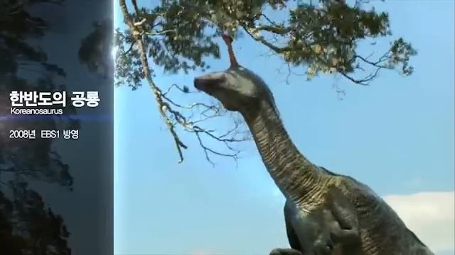 올리브스튜디오 (Olive Studio)