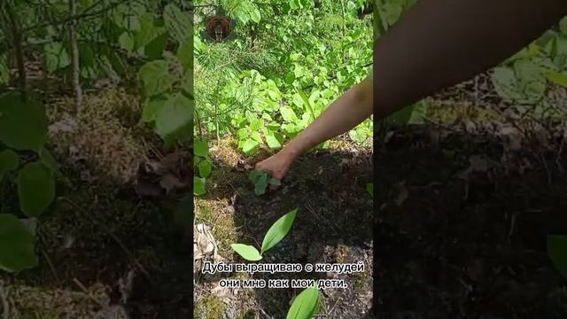 Чашка кофе смотреть онлайн