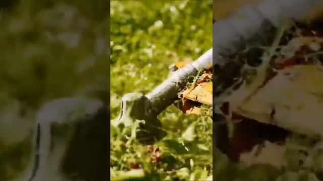 נבחרת הכלים הנטענים המומלצים לגנן המקצועי смотреть онлайн